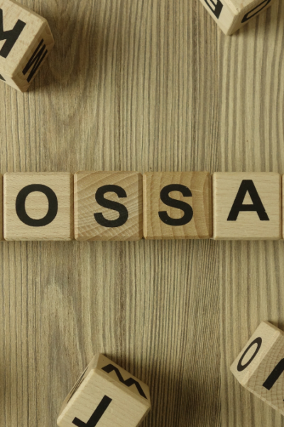 O que é um glossário para blog WordPress