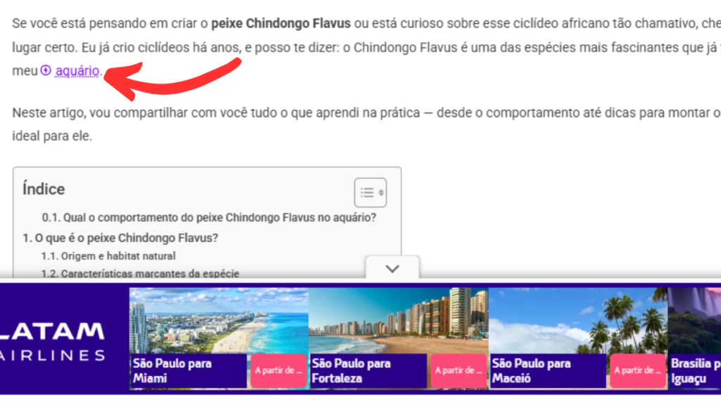 novo formato de intenções de anúncios